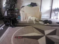 IMG_20130805_074631.webp