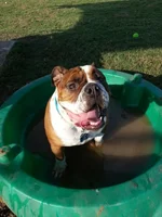 20121024_162840.webp