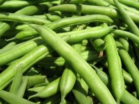 green-beans-1.jpg