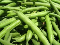 green-beans-1.webp