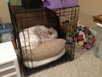 random sleepy pics 004.webp