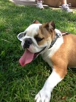 IMG_1584.jpg IMG_1584.jpg