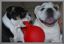 2girls1ball1.webp