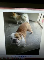 Lizzy's parents 002.webp