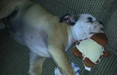 Sleep_resized.webp