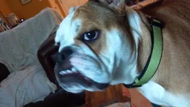 2013-06-20_19-12-32_948.webp 2013-06-20_19-12-32_948.webp