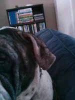 CAM00075.webp