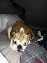 ImageUploadedByTapatalk1375767626.423043.webp