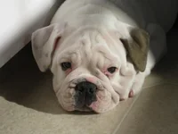 1st week at home.webp