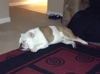 08 22 13 Sleep.webp