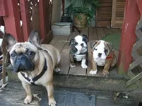 Mollymaude 024.webp