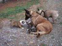 MaudeandMolly12912 011.webp