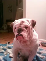Photo0010J.webp