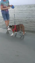IMAG1230.webp