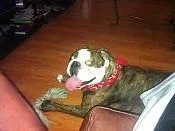 Play Time.webp