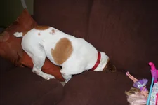 010.webp 010.webp