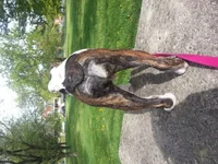20130504_091607.webp