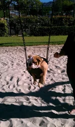 IMAG0218.webp