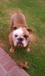 IMAG0693.webp
