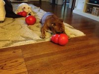IMG_4908.jpg IMG_4908.jpg