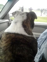 Maggie watching boys.webp Maggie watching boys.webp
