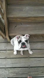Little Face 1.webp