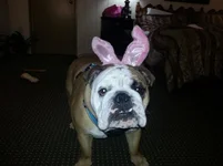 20130330_194513.webp