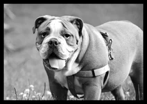DSC_0705.webp