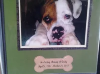 1026131320e.webp