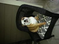 20130113_154653.webp