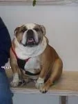 gunny at the docs.webp gunny at the docs.webp