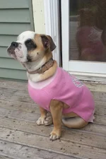 20130910_164459-1.webp