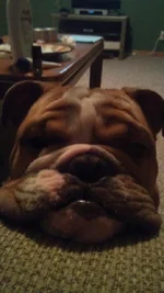 398359_10151315367350210_121780455_n.webp