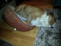 20130217_212907.webp
