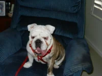 DSCN0131.webp