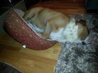 20130217_212907.jpg