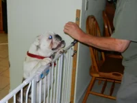 DSCN0138.webp