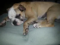 20130807_165833.webp