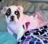 20130217_200437.jpg 20130217_200437.jpg