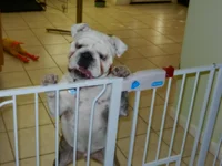 DSCN0140.webp