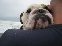 meandbfacecloseup.webp