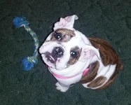 20130423_191111.webp