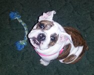 20130423_191111.jpg 20130423_191111.jpg