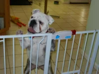 DSCN0141.webp