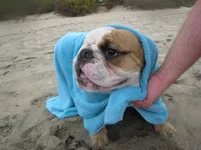 towel half wrap.webp