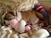 photo.webp