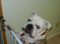 DSCN0144.webp