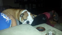 20130907_211942.webp
