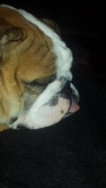 20130907_213428.jpg