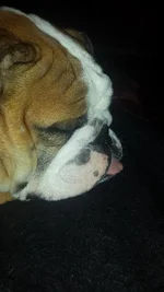 20130907_213428.webp